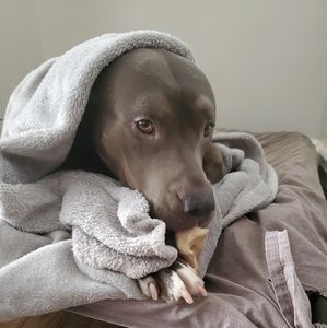 Meet your Posher, Yoann